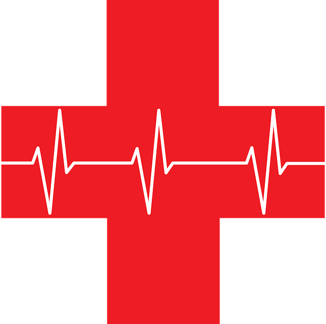 Te compartimos un poco de la historia de la Cruz Roja